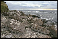 Raukar on coast of Gotland