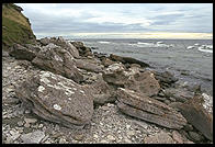 Raukar on coast of Gotland