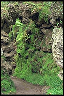 Powerscourt. South of Dublin, Ireland.