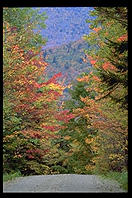 Texas Falls Road. Vermont.