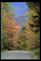Texas Falls Road.  Vermont.