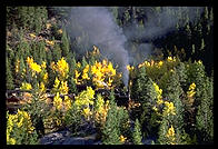Train viewed from Interstate 70 in Colorado.