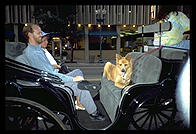 Carriage.  Memphis, Tennessee.