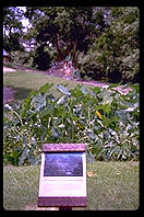 Highest point in New Orleans (a hill).  Audubon Zoo.  New Orleans, Louisiana.