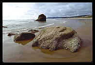 Oregon Coast.