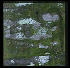 Parco dei Mostri (park of monsters), below the town of Bomarzo, Italy (1.5 hours north of Rome).  This was the park of the 16th century Villa Orsini and is filled with grotesque sculptures.