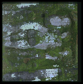 Parco dei Mostri (park of monsters), below the town of Bomarzo, Italy (1.5 hours north of Rome). This was the park of the 16th century Villa Orsini and is filled with grotesque sculptures.