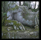 Parco dei Mostri (park of monsters), below the town of Bomarzo, Italy (1.5 hours north of Rome).  This was the park of the 16th century Villa Orsini and is filled with grotesque sculptures.