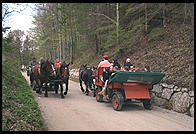 Horse Carriages taking tourists up to Neuschwanstein (King Ludwig II's great castle in Bavaria).
