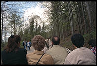 Horse-drawn carriages that take tourists to Neuschwanstein, Bavaria.