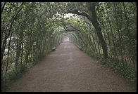 Florence's Boboli Gardens