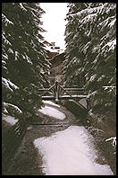 The river that flows through downtown Cortina (in the Dolomites)