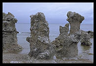 Folhammar.  Gotland.  Sweden