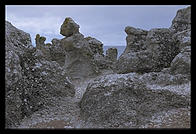 Folhammar.  Gotland.  Sweden