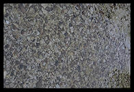 Folhammar.  Gotland.  Sweden