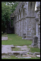 Klosterruin.  On route 143 in Gotland.  Sweden.
