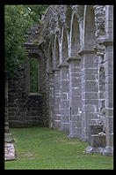 Klosterruin.  On route 143 in Gotland.  Sweden.
