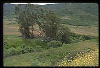 Tennesee Valley Trail.  Marin County, California.
