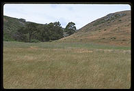 Tennesee Valley Trail.  Marin County, California.