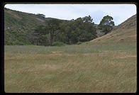 Tennesee Valley Trail.  Marin County, California.