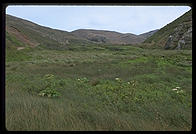 Tennesee Valley Trail.  Marin County, California.