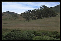 Tennesee Valley Trail. Marin County, California.