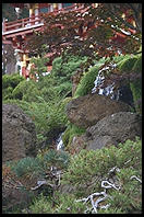Japanese tea garden. Golden Gate Park. San Francisco, California
