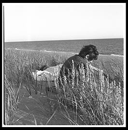 Provincetown Dunes. Cape Cod. Massachusetts.