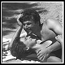 Wellfleet.  Cape Cod.  Massachusetts.