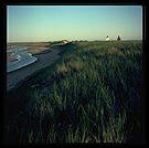 Provincetown Dunes.  Cape Cod.  Massachusetts.