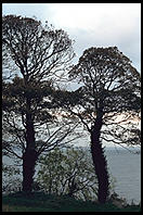 Carlingford, Ireland.