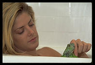 Canon EOS-5, 70-200/2.8, 540EZ flash, Sto-Fen diffuser, Fuji ISO 400 color negative film