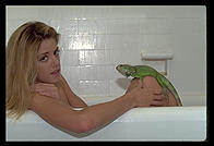 Canon EOS-5, 70-200/2.8, 540EZ flash, Sto-Fen diffuser, Fuji ISO 400 color negative film