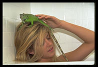 Canon EOS-5, 70-200/2.8, 540EZ flash, Sto-Fen diffuser, Fuji ISO 400 color negative film