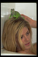 Canon EOS-5, 70-200/2.8, 540EZ flash, Sto-Fen diffuser, Fuji ISO 400 color negative film