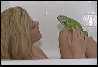 Canon EOS-5, 70-200/2.8, 540EZ flash, Sto-Fen diffuser, Fuji ISO 400 color negative film