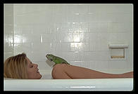 Canon EOS-5, 70-200/2.8, 540EZ flash, Sto-Fen diffuser, Fuji ISO 400 color negative film