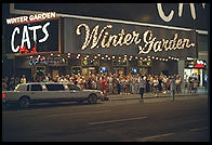 Cats.  Manhattan, summer 1995