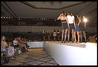 IMTA Show 1995 Manhattan