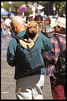 Berkeley, California.