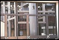 Aquarium.  Monterey, California.