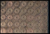 Temple Mount. Jerusalem.