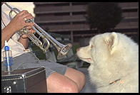 George by the Charles River.