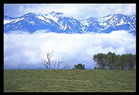 NE coast of the South Island, New Zealand.