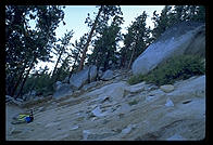 Above Lake Tahoe, Nevada on the Great Flume Ride.  The dropoff to the left should not be looked at.