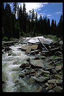Stream.  Sierra Nevada.