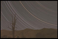 Star Streak.  Ancient Bristlecone Pine Forest (around 10,500 feet above sea level).  California.