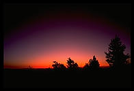 Sunrise in the White Mountains of California.  Ancient Bristlecone Pine Forest.