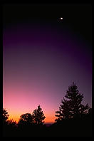 Sunrise in the White Mountains of California.  Ancient Bristlecone Pine Forest.