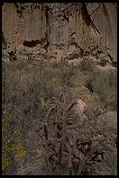 New Mexico, west of Taos